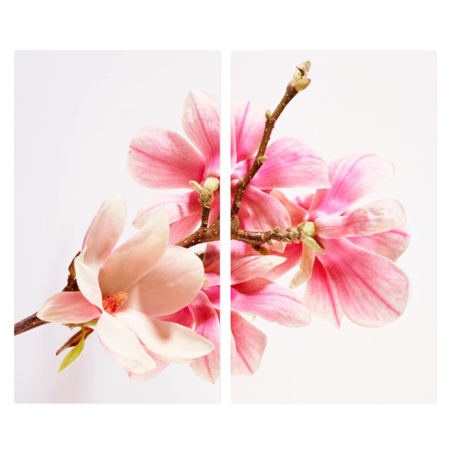 Herdabdeckplatten Blumen Magnolienblüten