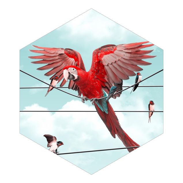 Hexagon Tapete Himmel mit Vögeln