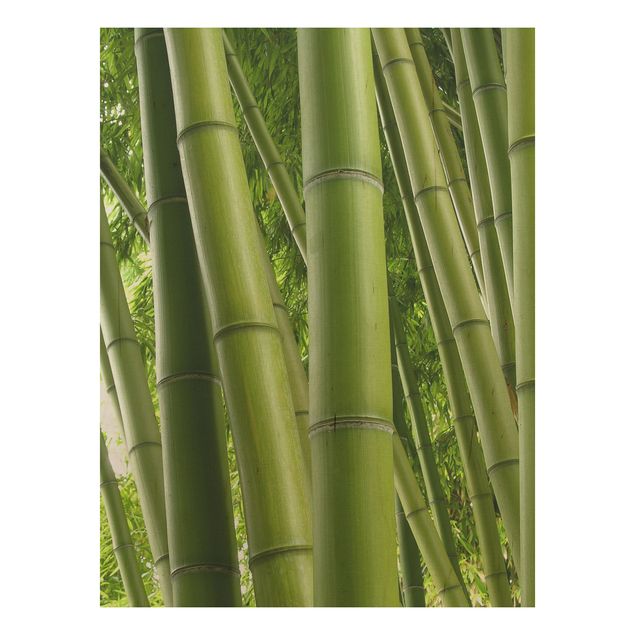 Holzbild Blumen Bamboo Trees No.1