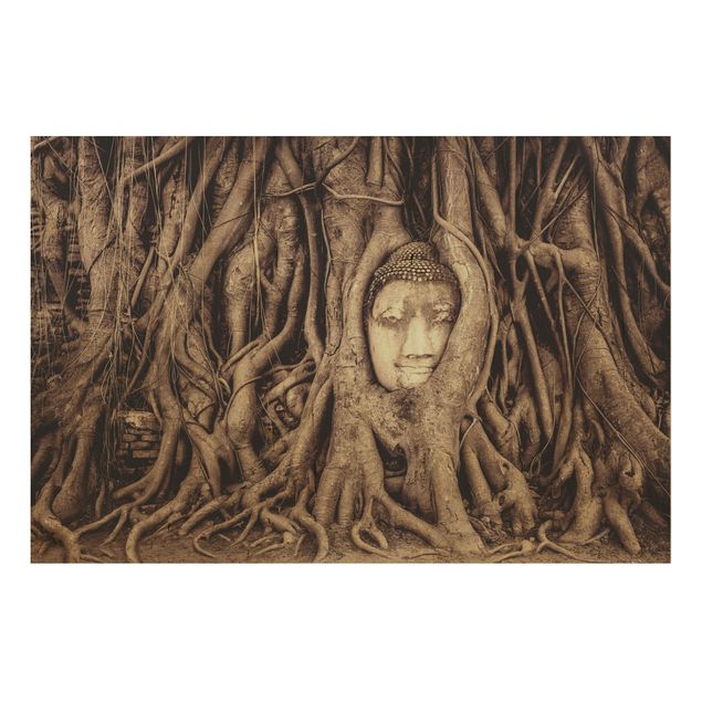Holzbild Natur Buddha in Ayutthaya von Baumwurzeln gesäumt in Braun