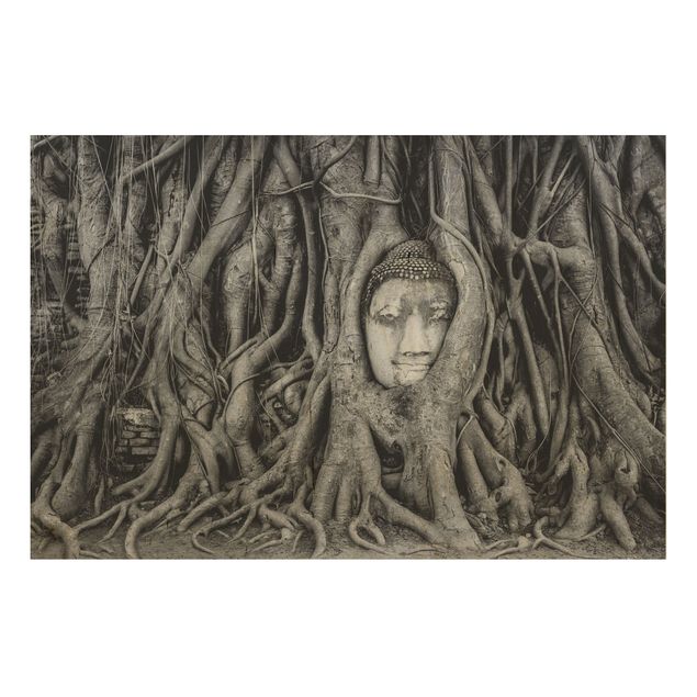 Holzbilder Landschaften Buddha in Ayutthaya von Baumwurzeln gesäumt in Schwarzweiß