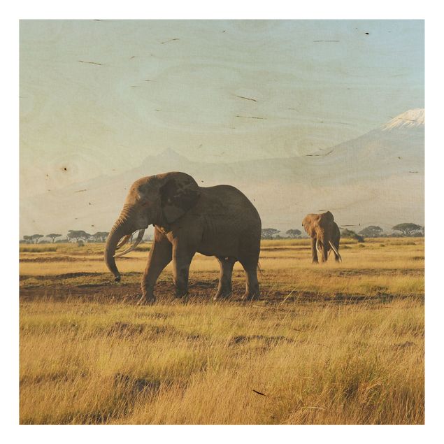 Holzbilder Landschaften Elefanten vor dem Kilimanjaro in Kenya