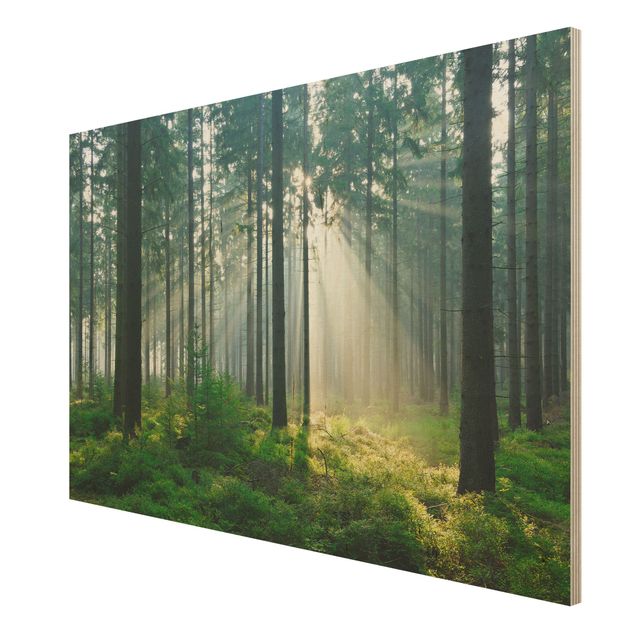 Holzbilder Landschaften Enlightened Forest