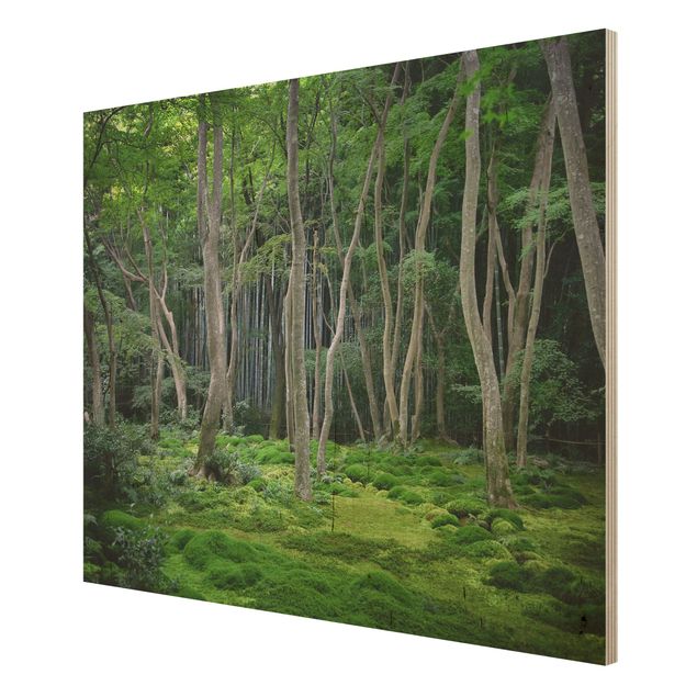 Holzbilder Landschaften Japanischer Wald