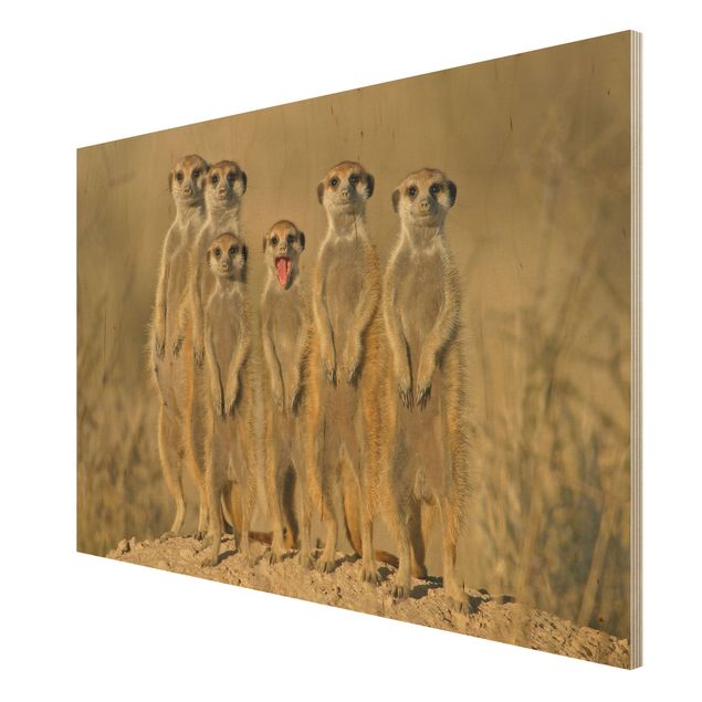 Wandbild Holz Meerkat Family