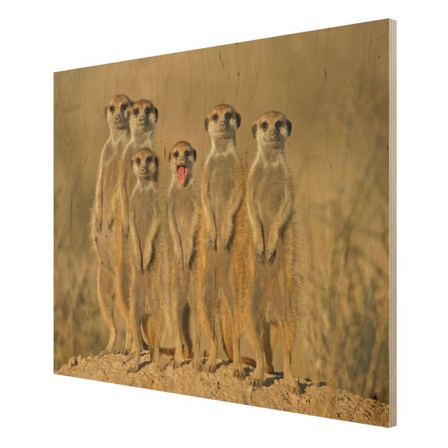 Holzbilder Meerkat Family