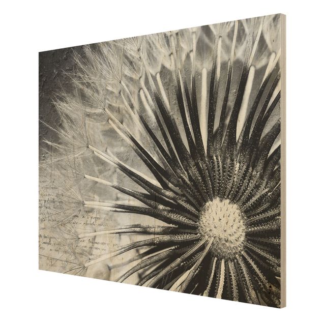 Wandbild Holz Vintage Pusteblume Schwarz & Weiß