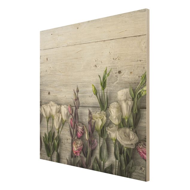 Wandbilder Tulpen-Rose Shabby Holzoptik