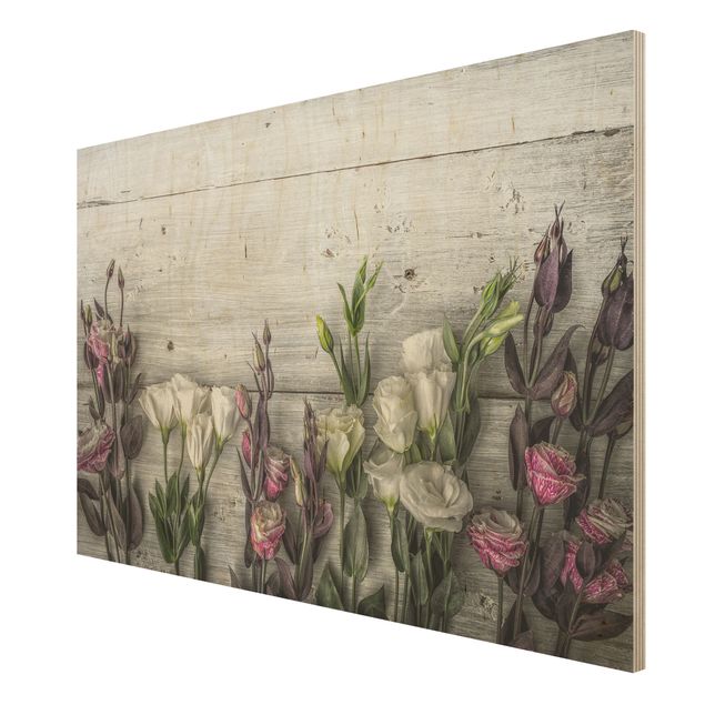 Wandbilder Tulpen-Rose Shabby Holzoptik