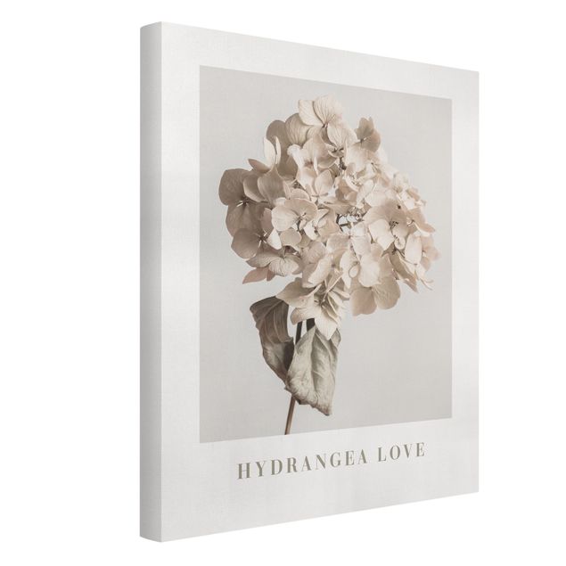 Bilder Hydrangea Love