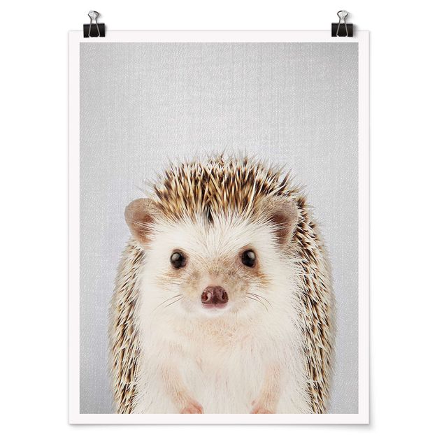 Tiere Poster Igel Ingolf