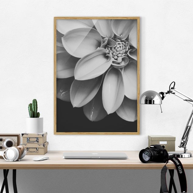 Blumenbilder mit Rahmen Im Herzen einer Dahlie Schwarz-Weiß