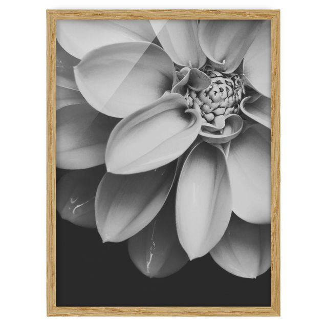 Wandbilder Floral Im Herzen einer Dahlie Schwarz-Weiß