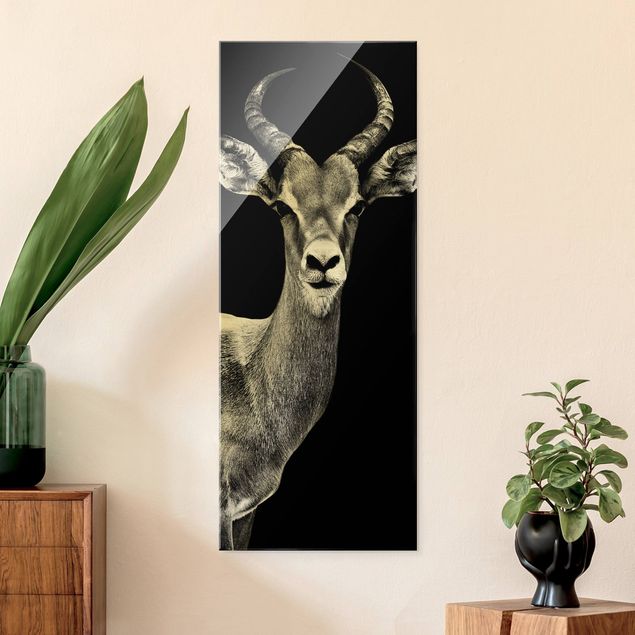 schwarz weiß Glasbilder Impala Antilope schwarz-weiß