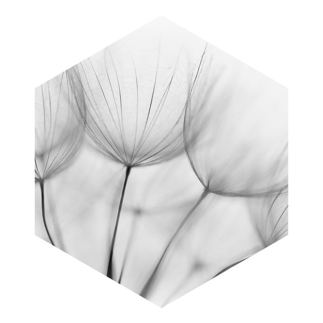 Fototapete grau In einer Pusteblume Schwarz-Weiß