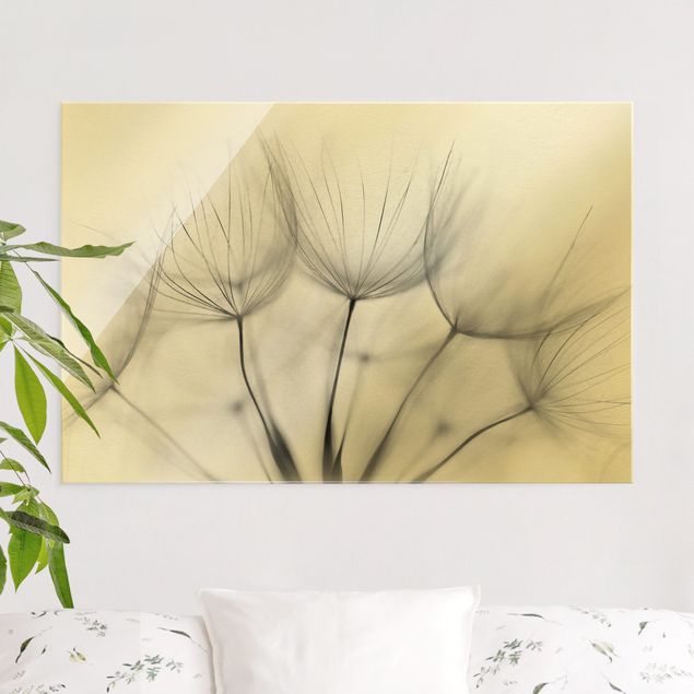 Glasbilder Pusteblumen In einer Pusteblume Schwarz-Weiß