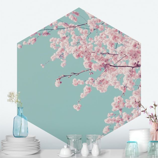 moderne Fototapete Japanische Kirschblüte