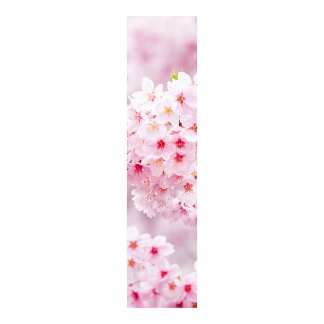 Flächenvorhang Blumen Japanische Kirschblüte