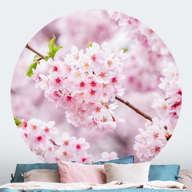 Fototapete modern Japanische Kirschblüten