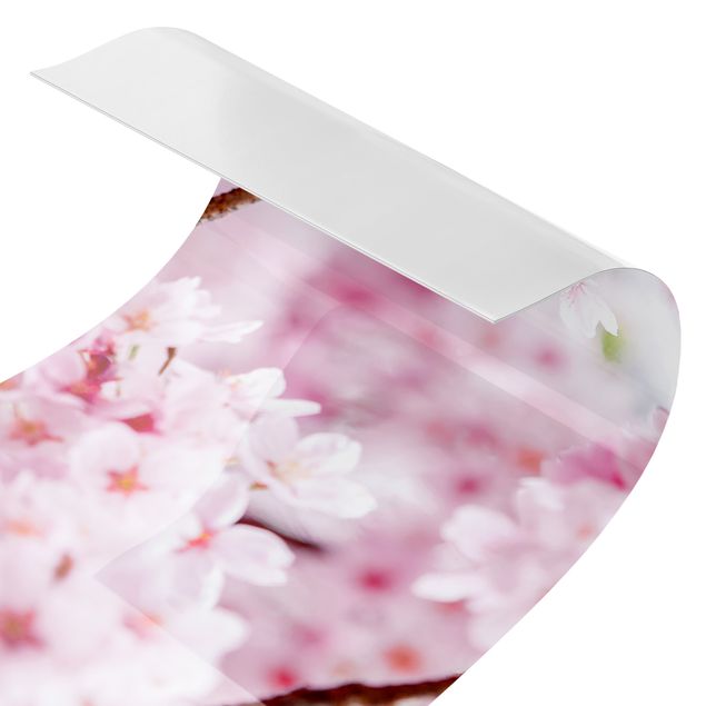 selbstklebende Klebefolie Japanische Kirschblüten