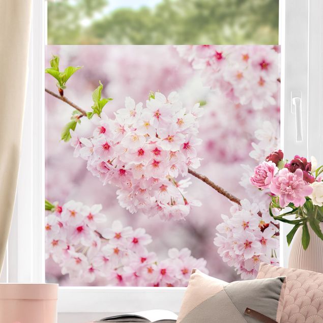 Klebefolien selbstklebend Japanische Kirschblüten