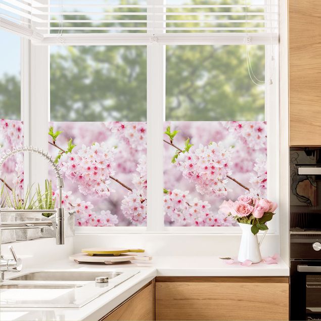 Fensterfolie - Sichtschutz - Japanische Kirschblüten - Fensterbilder