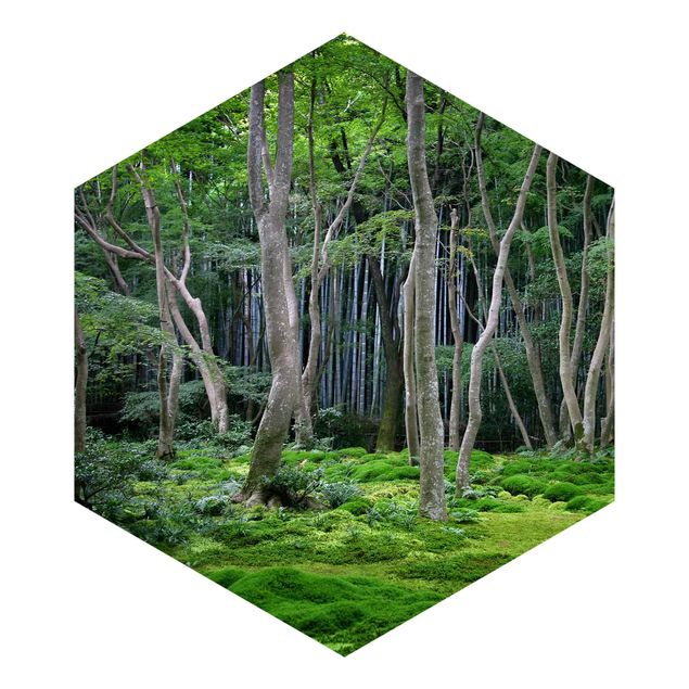 Foto Tapete Japanischer Wald