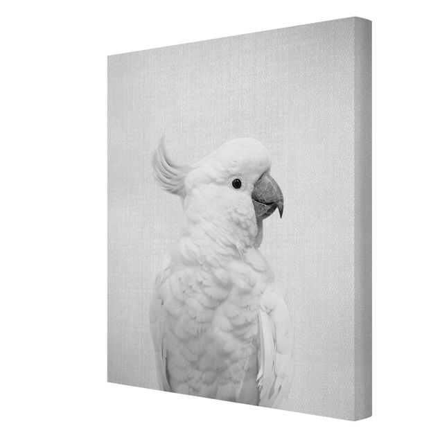 Wandbilder Schwarz-Weiß Kakadu Kiki Schwarz Weiß