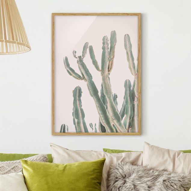 gerahmte Blumenbilder Kaktus vor Pastellrosa