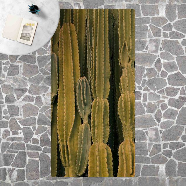 Läufer Kaktus Wand