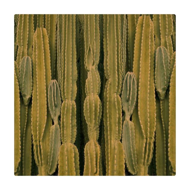 Kleine Teppiche Kaktus Wand