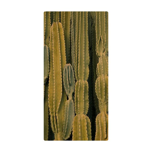 Teppich Esszimmer Kaktus Wand