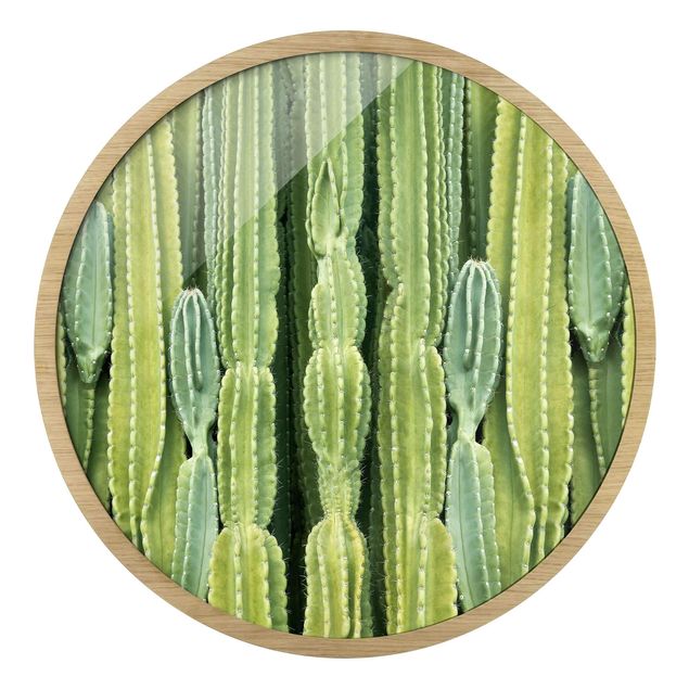 Wandbilder Grün Kaktus Wand