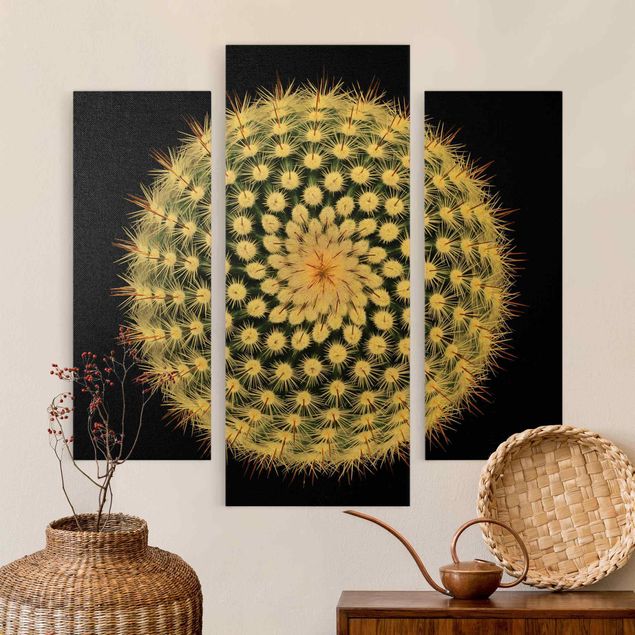 Wandbilder Schwarz Kaktusblüte