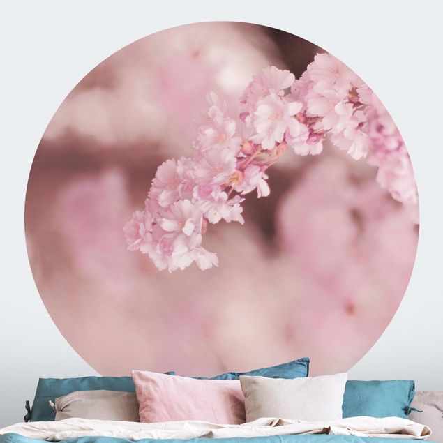 moderne Fototapete Kirschblüte im Violetten Licht