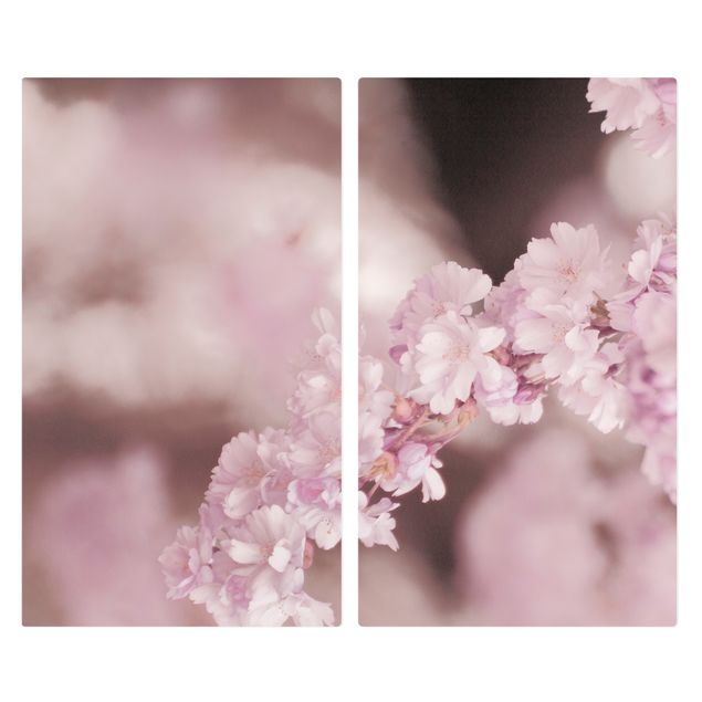Herdabdeckung Glas Kirschblüte im Violetten Licht