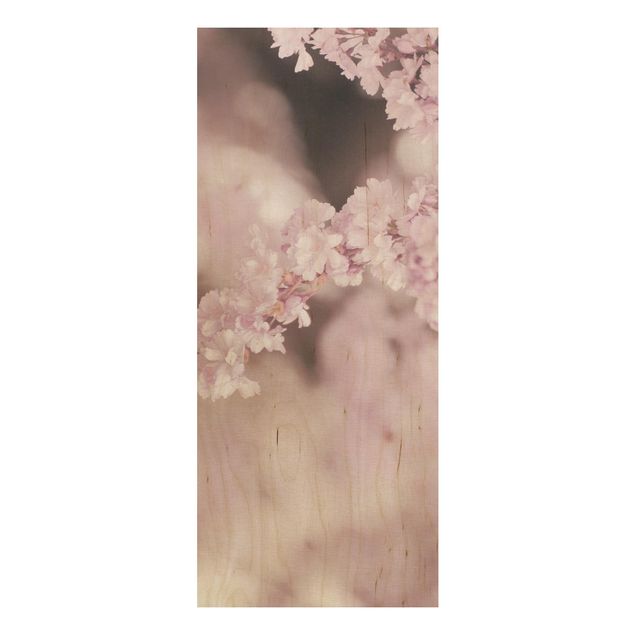 Holzbilder Blumen Kirschblüte im Violetten Licht