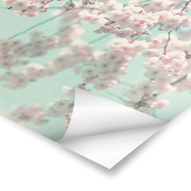 Poster bestellen Kirschblütentanz auf Leinenstruktur