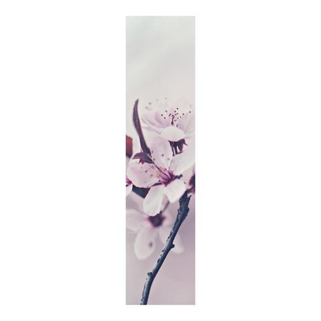 Schiebegardinen Blumen Kirschblütenzweig Altrosa