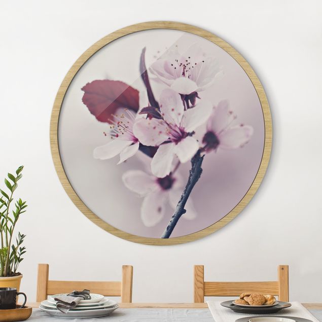 Blumenbilder mit Rahmen Kirschblütenzweig Altrosa