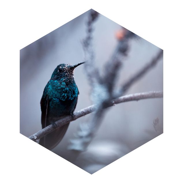 Fototapete Kolibri im Winter