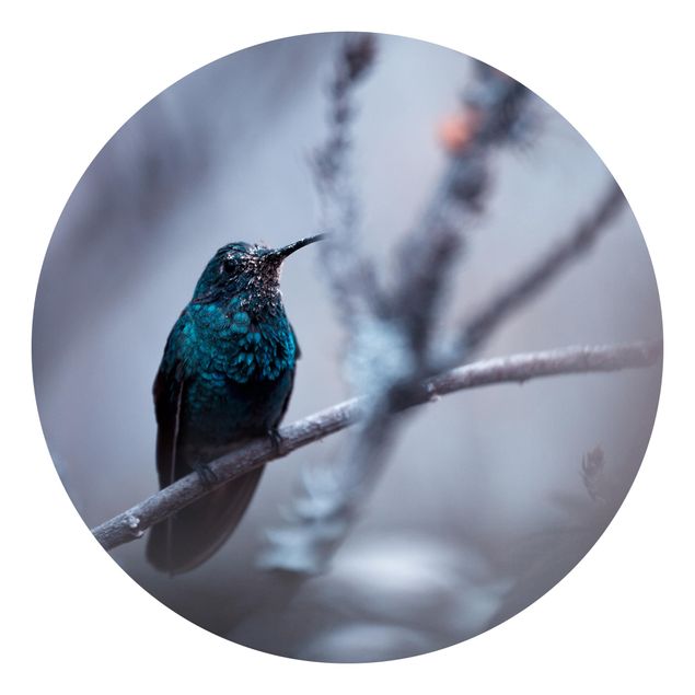 Tapete Tiere Kolibri im Winter