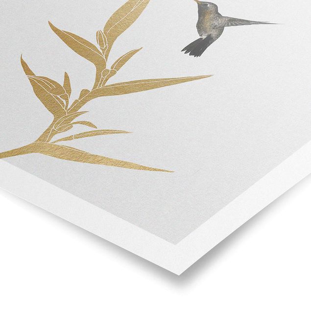 Wandbilder Kolibri und tropische goldene Blüte II