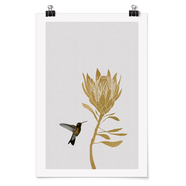 Kunstdrucke Poster Kolibri und tropische goldene Blüte