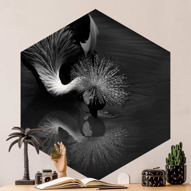 Vogel Tapete Kronenkranich Verbeugung Schwarz Weiß