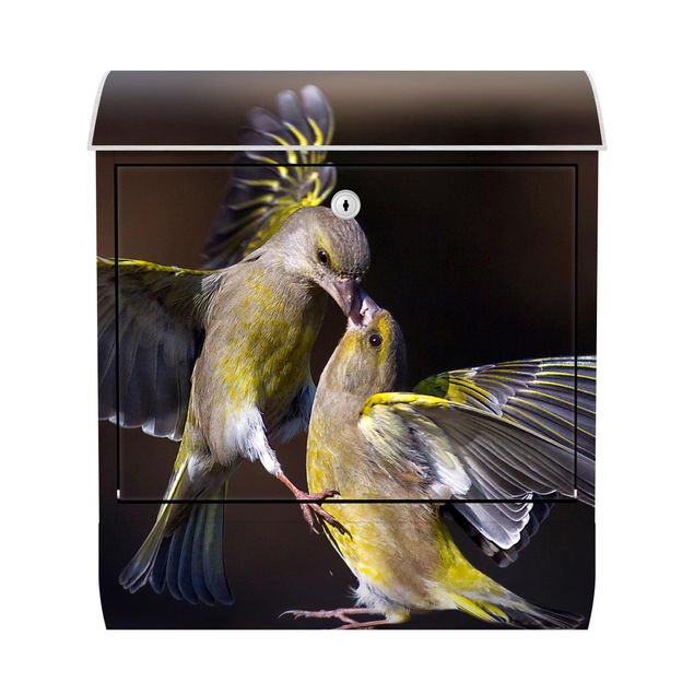 Postkasten gelb Küssende Kolibris