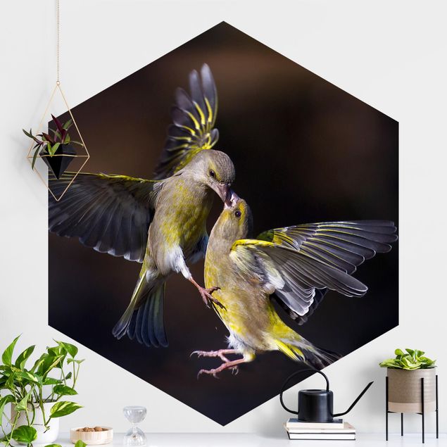 Küche Dekoration Küssende Kolibris