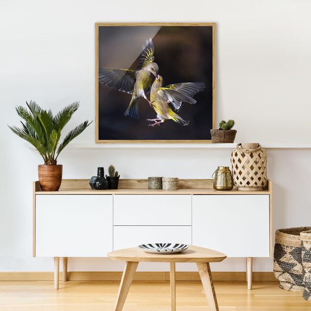Wandbilder Kunstdrucke Küssende Kolibris