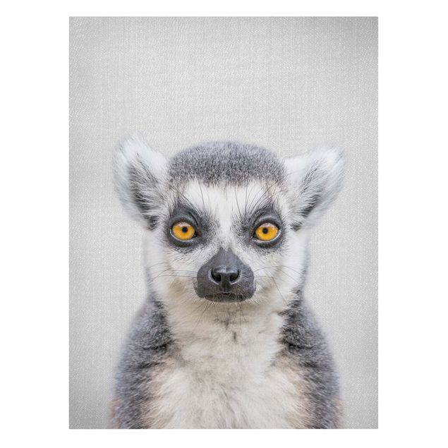 Leinwand Tiere Lemur Ludwig