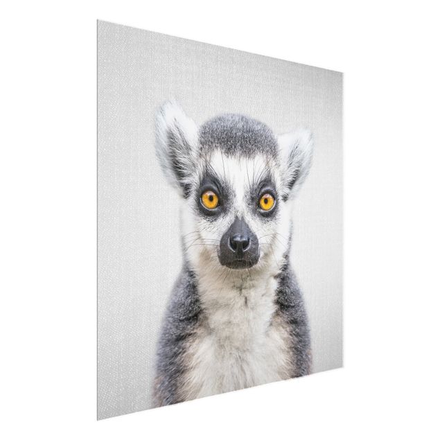 Glasbilder Tiere Lemur Ludwig